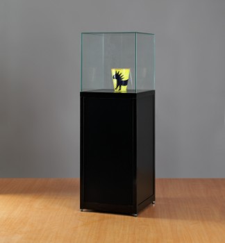 Museum display case at ADE