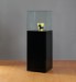 Museum display case at ADE