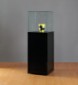 Museum display case at ADE