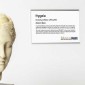 Q-Cord signage, Museum Signs, gallery wall artist placards, art gallery placards, art gallery display wall, art gallery sign