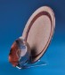 Plate Setting Display 