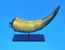 powder horn on display stand by ADE