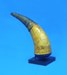 Powder horn on T-arm display - front