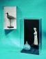Acrylic Wall Case w/ Door 